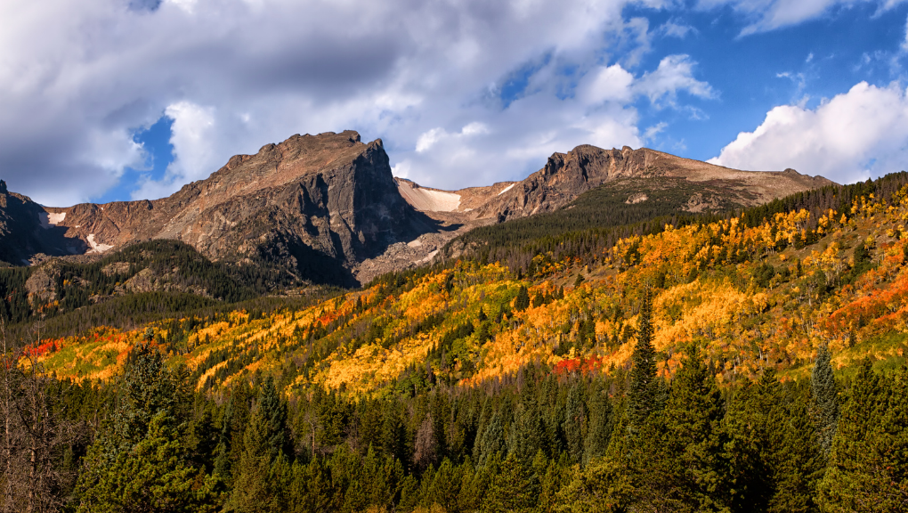 Mountain view with fall trees