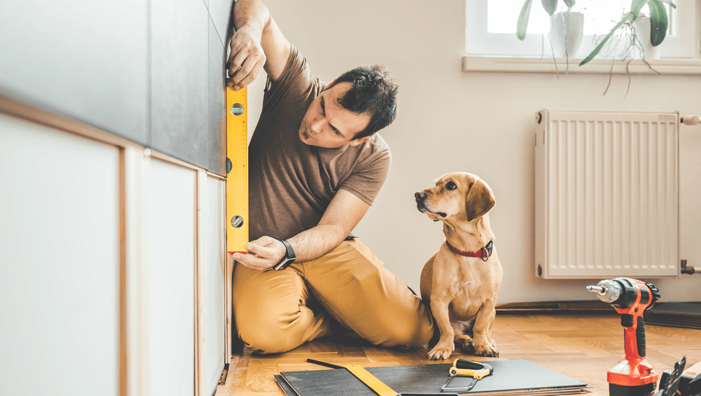 Man updating walls of home with his dog sitting next to him