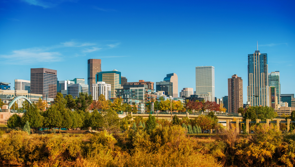 Denver - city view of fall leaves in Colorado