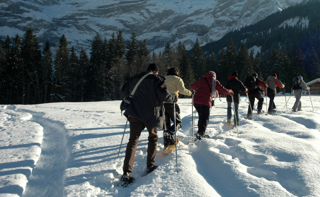 a group of people snowshoeing