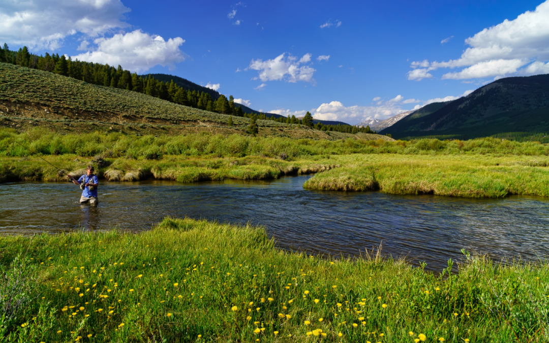 Colorado Fishing: The 5 Best Spots to Throw Your Fly Fishing Line