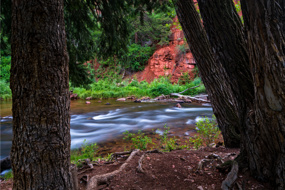 Colorado Fishing The 5 Best Spots to Throw Your Fly Fishing Line