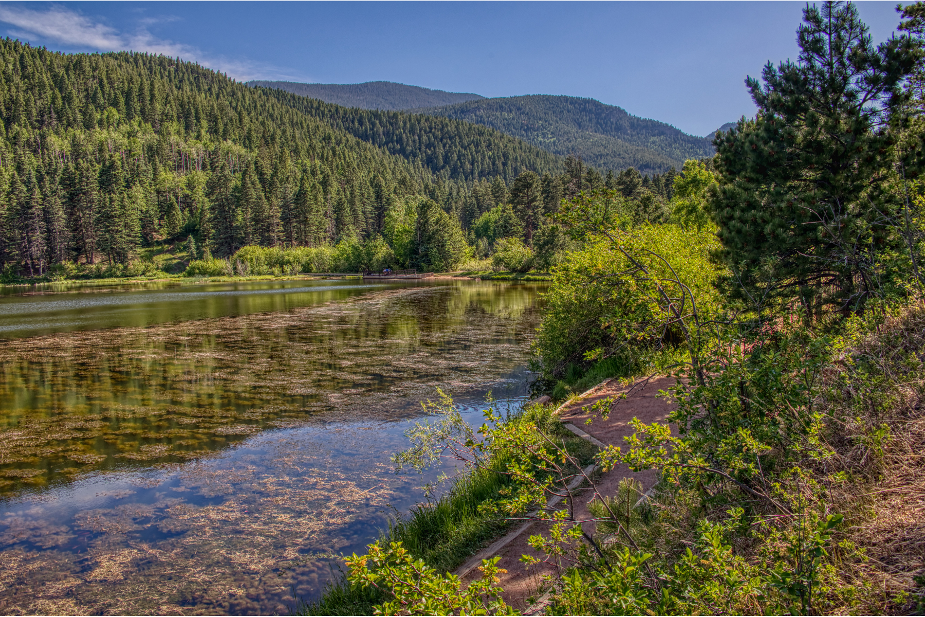 Visit San Isabel National Forest for summer camping in Colorado