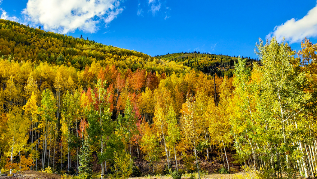 What to Expect from Colorado in the Fall